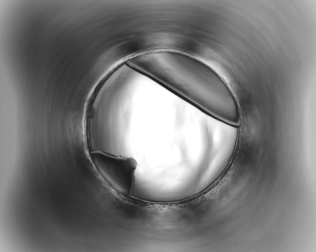 X0000095670910200802051227