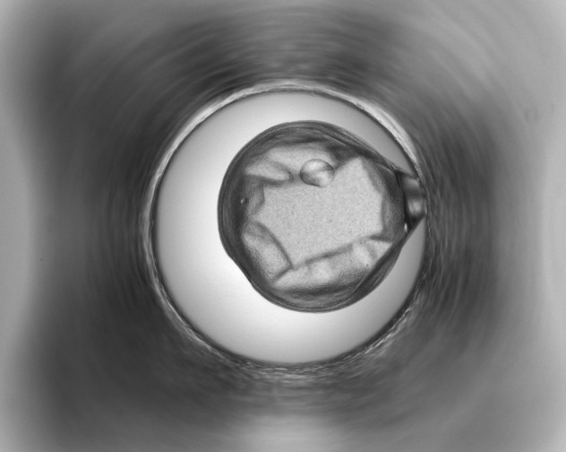 X0000095670911200802051227