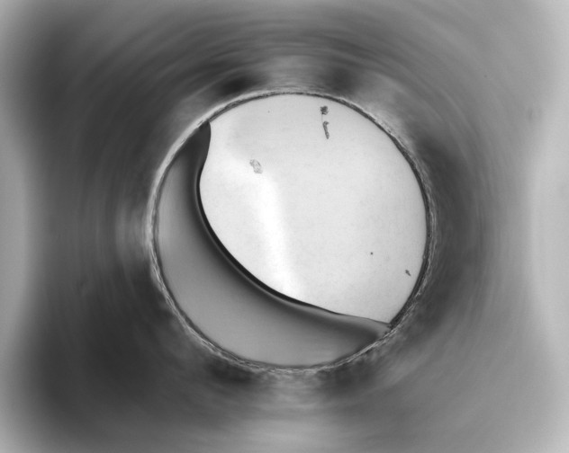 X0000095670912200802051227