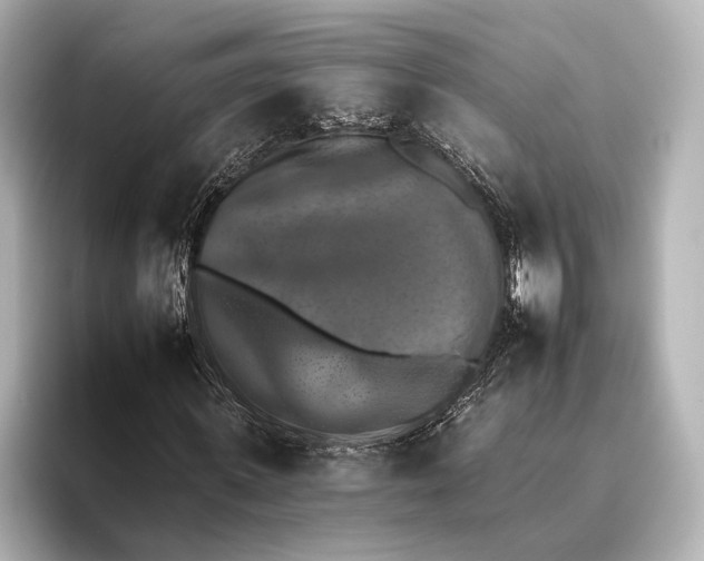 X0000095670915200802051227