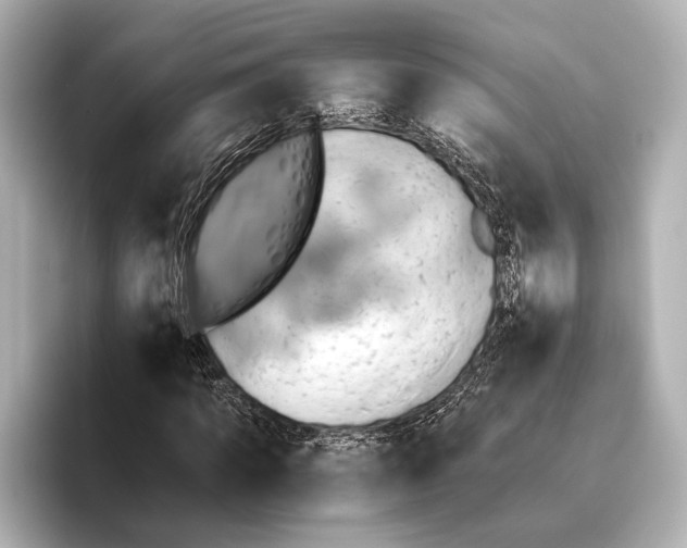 X0000095670917200802051227