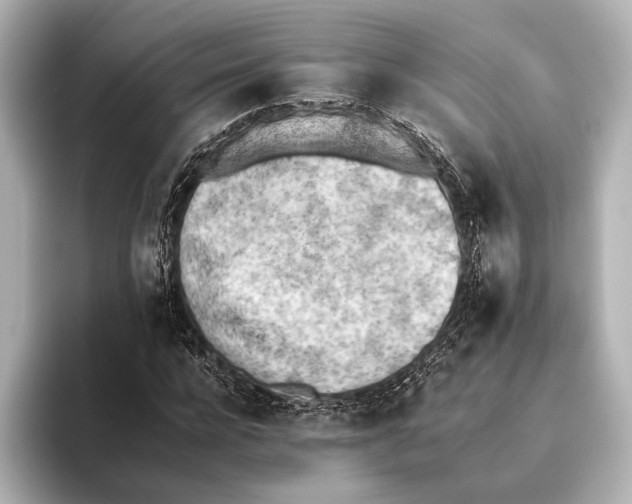 X0000095670920200802051227