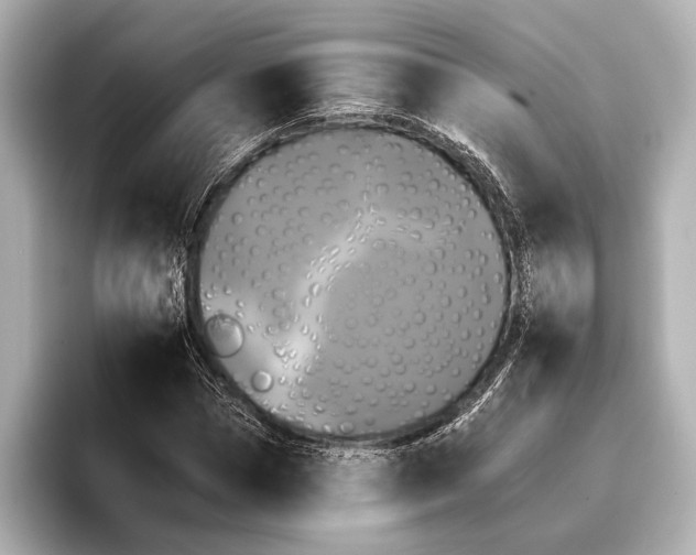 X0000095670921200802051227