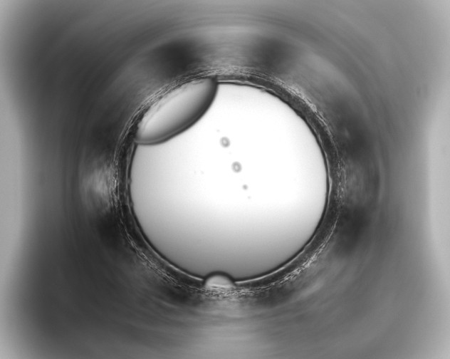 X0000095670922200802051227