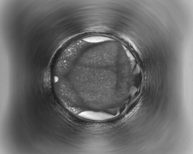 X0000095670923200802051227