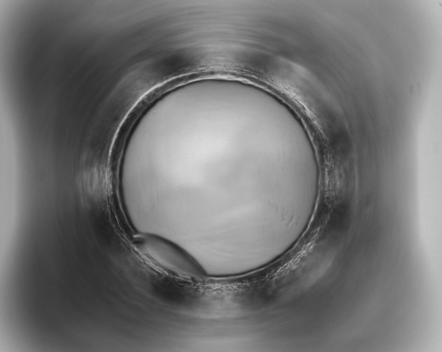 X0000095670924200802051227