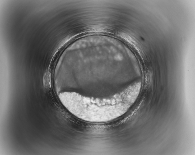 X0000095670925200802051227