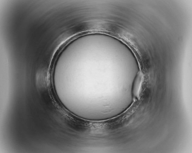 X0000095670928200802051227