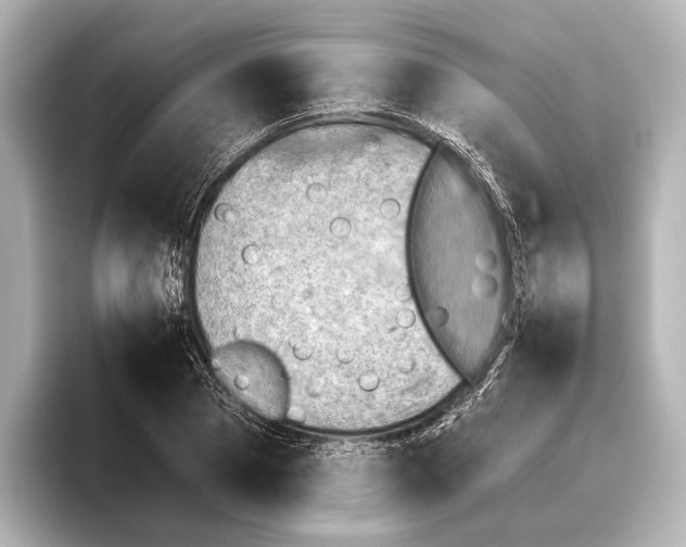 X0000095670929200802051227