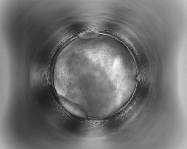 X0000095670930200802051227