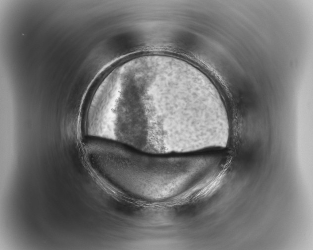 X0000095670932200802051227