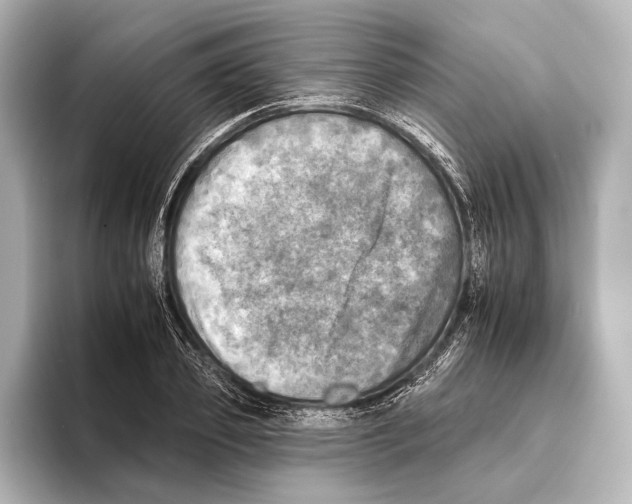 X0000095670933200802051227