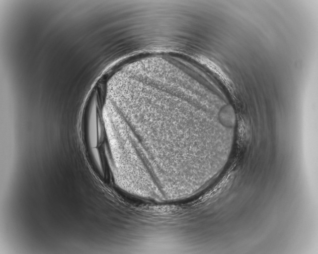 X0000095670934200802051227