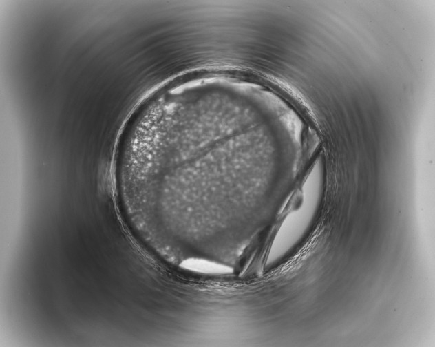 X0000095670935200802051227