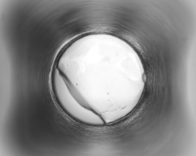 X0000095670936200802051227