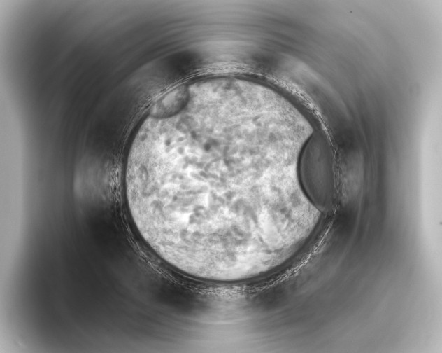 X0000095670937200802051227