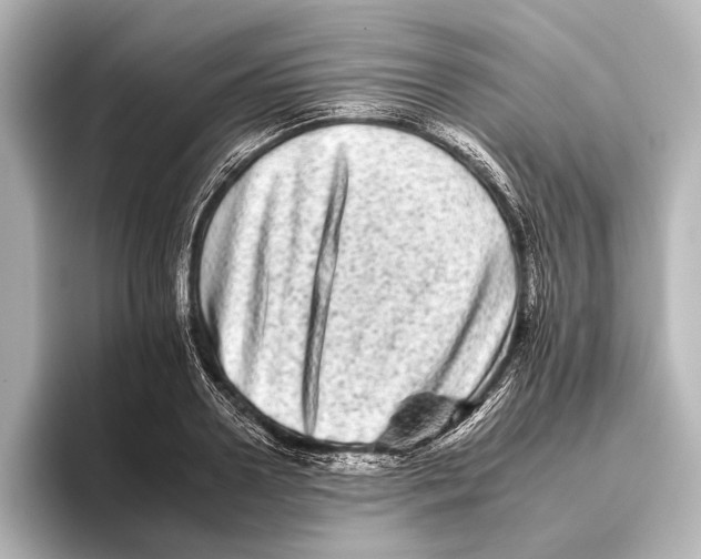 X0000095670938200802051227