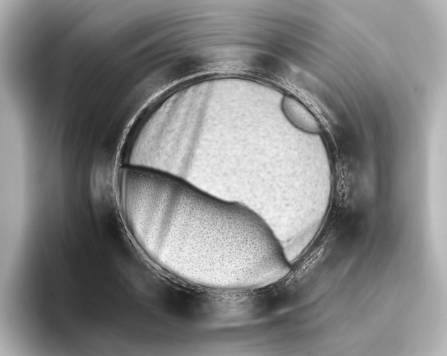 X0000095670939200802051227