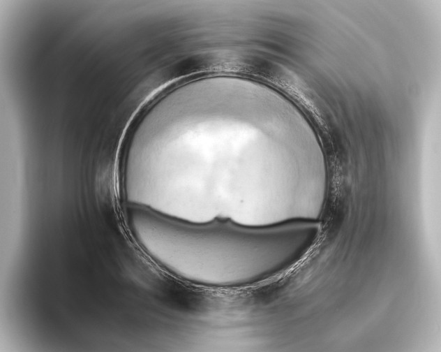 X0000095670940200802051227