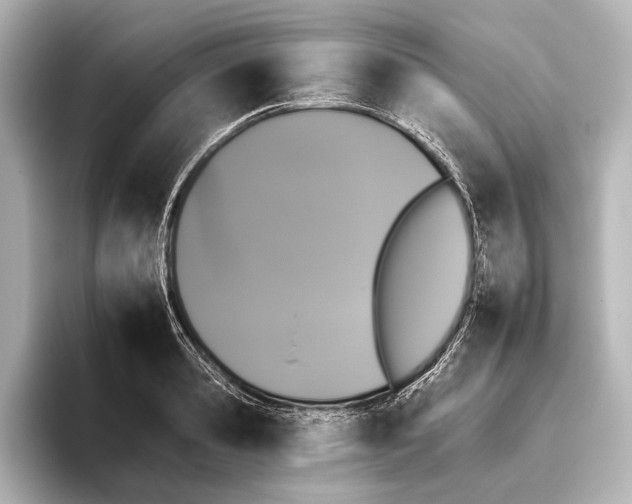 X0000095670941200802051227