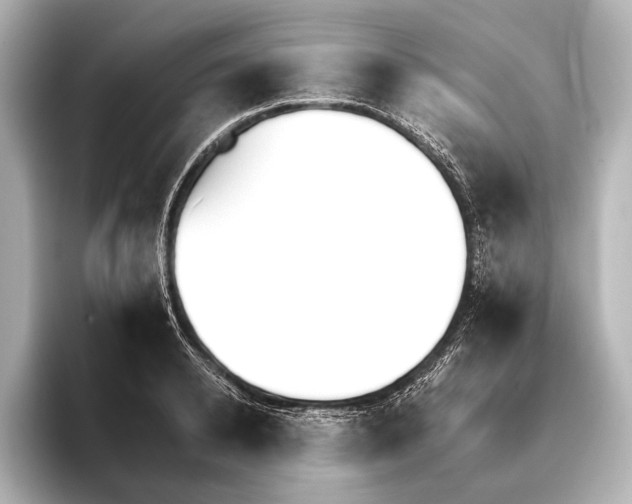 X0000095670942200802051227