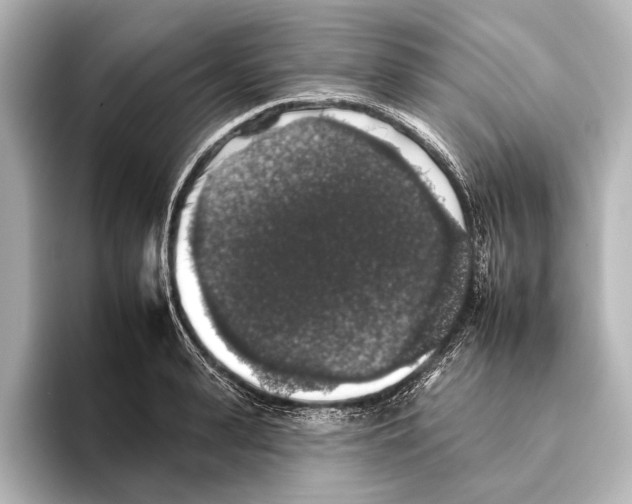 X0000095670943200802051227