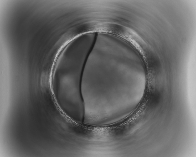 X0000095670944200802051227