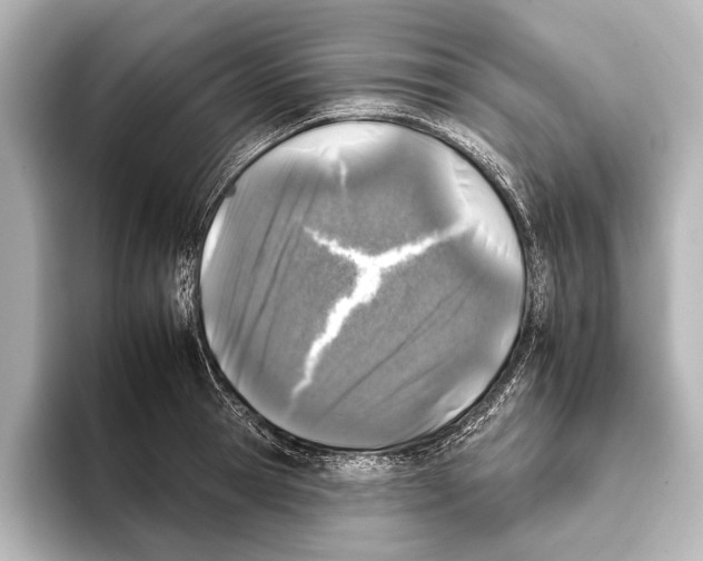 X0000095670945200802051227