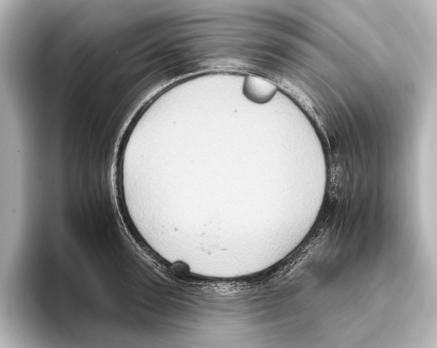 X0000095670947200802051227