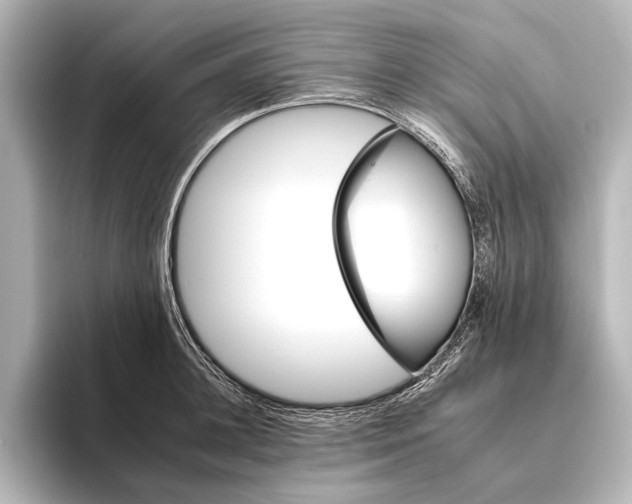 X0000095670948200802051227