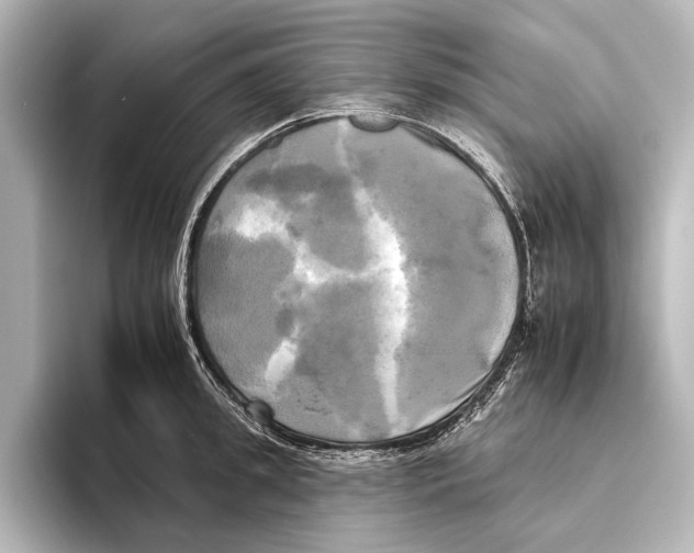 X0000095670949200802051227