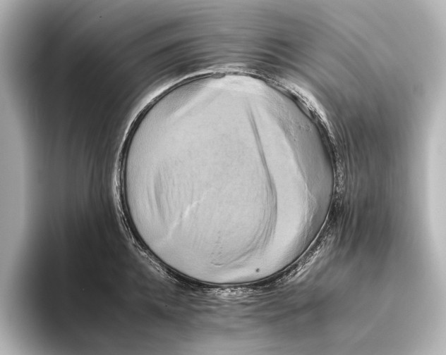 X0000095670952200802051227