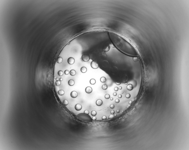 X0000095670953200802051227