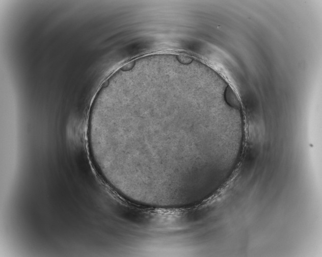 X0000095670954200802051227