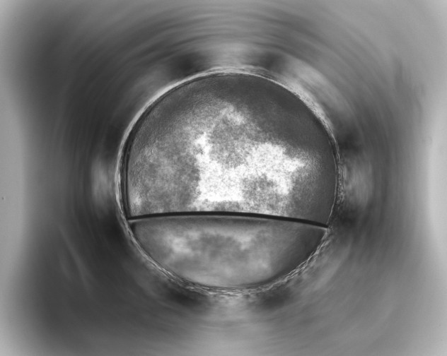 X0000095670955200802051227