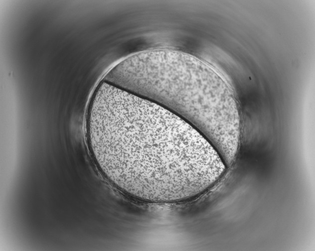 X0000095670956200802051227