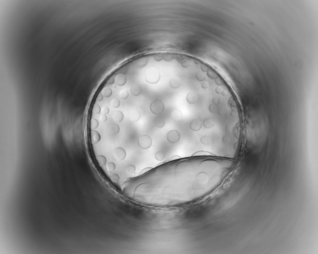 X0000095670957200802051227