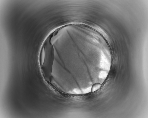 X0000095670958200802051227