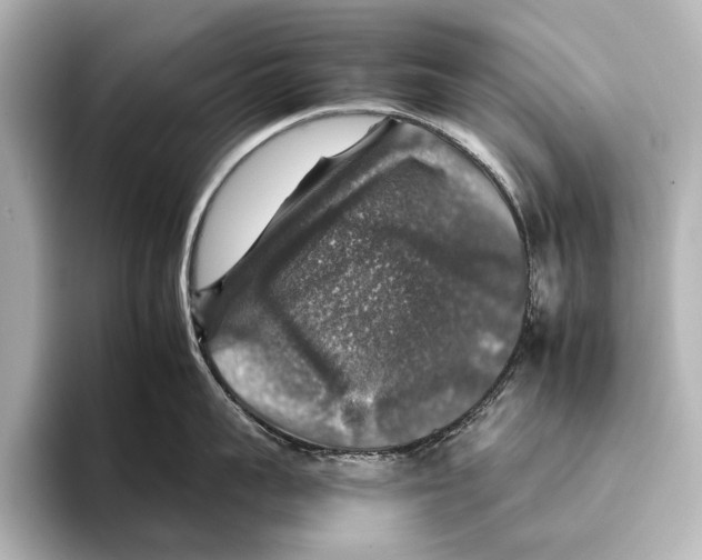 X0000095670959200802051227