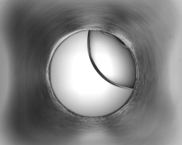 X0000095670960200802051227