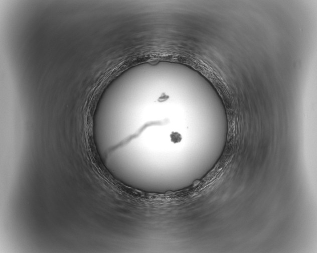 X0000095670961200802051227