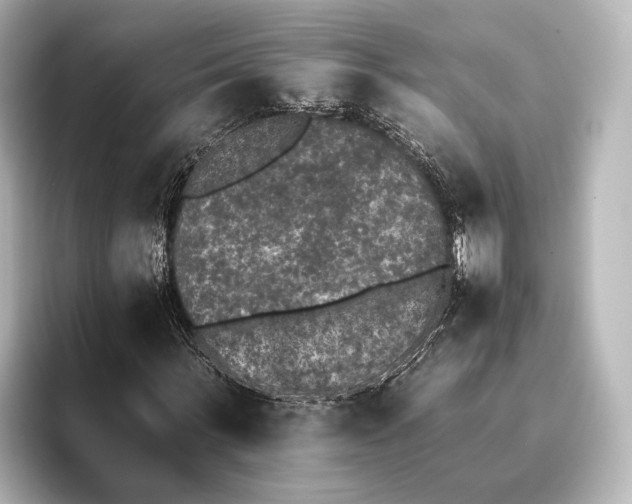 X0000095670963200802051227