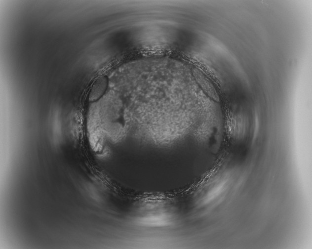 X0000095670964200802051227