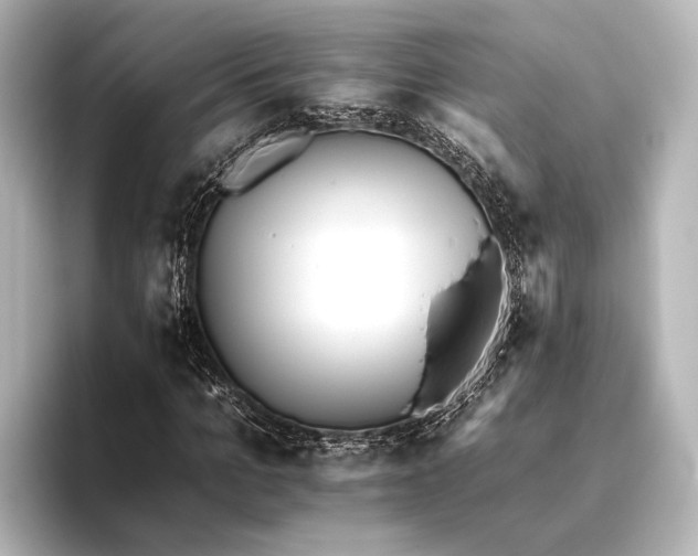 X0000095670965200802051227