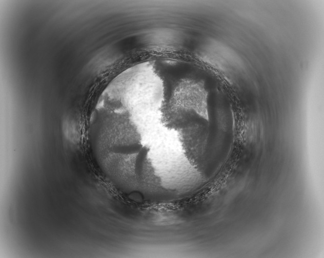 X0000095670966200802051227