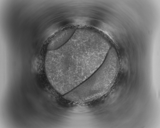 X0000095670967200802051227