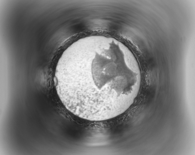 X0000095670968200802051227