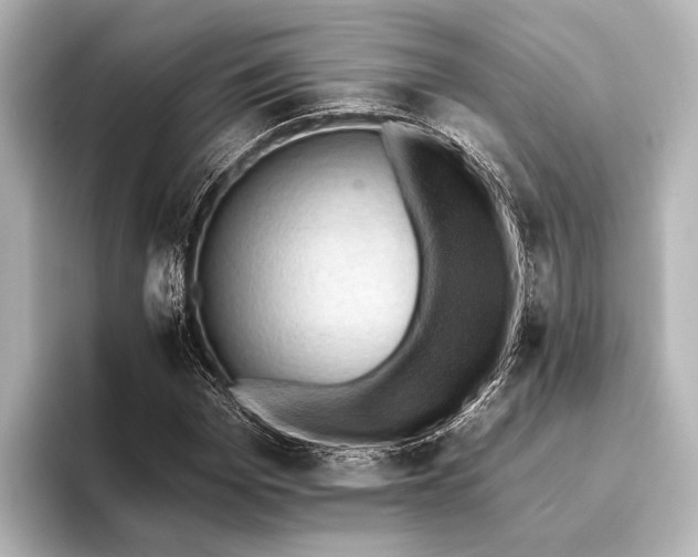 X0000095670969200802051227