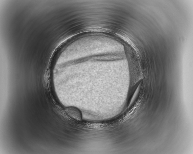 X0000095670971200802051227