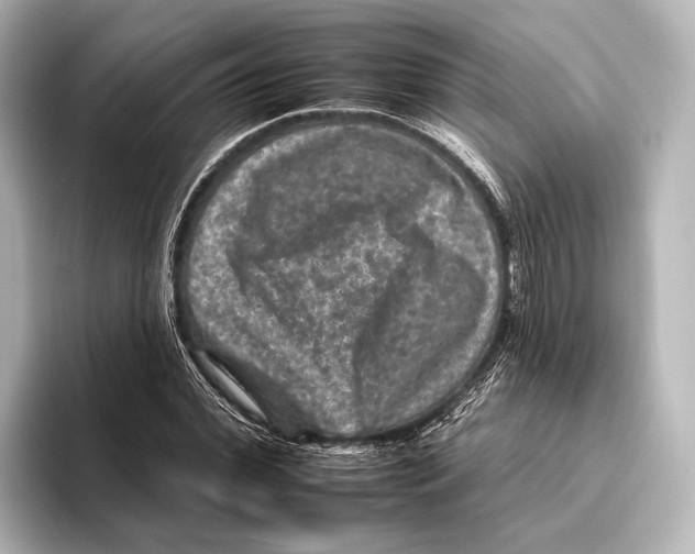 X0000095670972200802051227